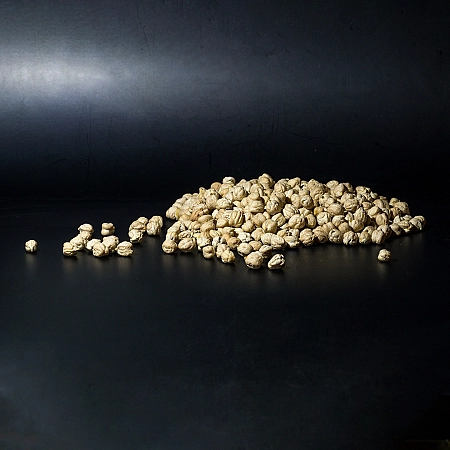 Garbanzo Castellano