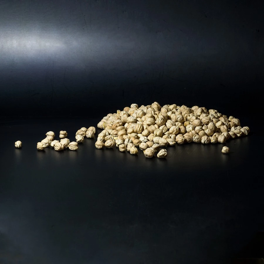 Garbanzo Castellano
